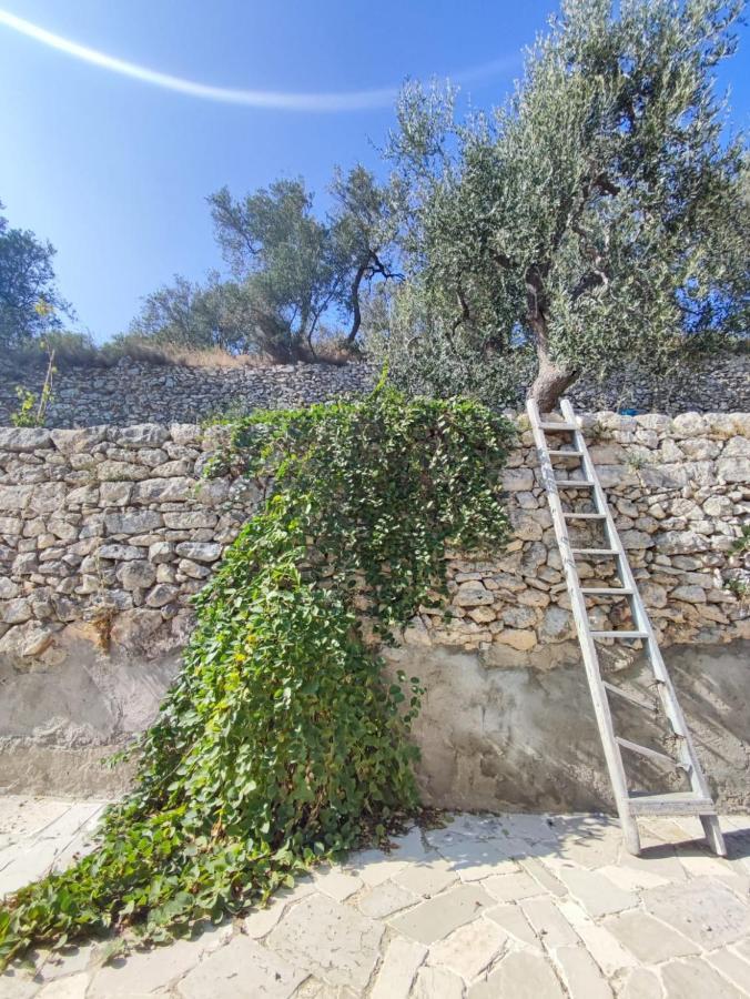 Dimora Mediterranea Mattinata Eksteriør bilde