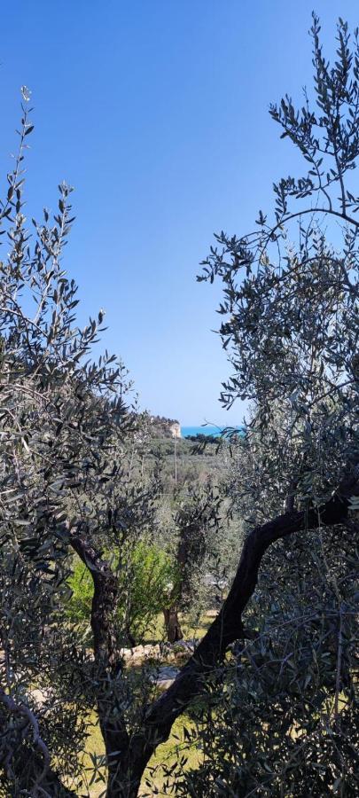 Dimora Mediterranea Mattinata Eksteriør bilde